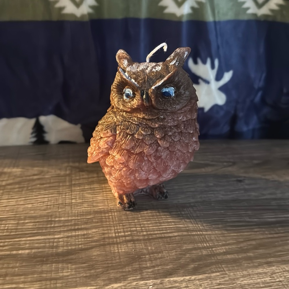 Ice, wax candle, owl